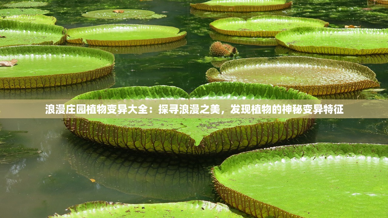 浪漫庄园植物变异大全：探寻浪漫之美，发现植物的神秘变异特征