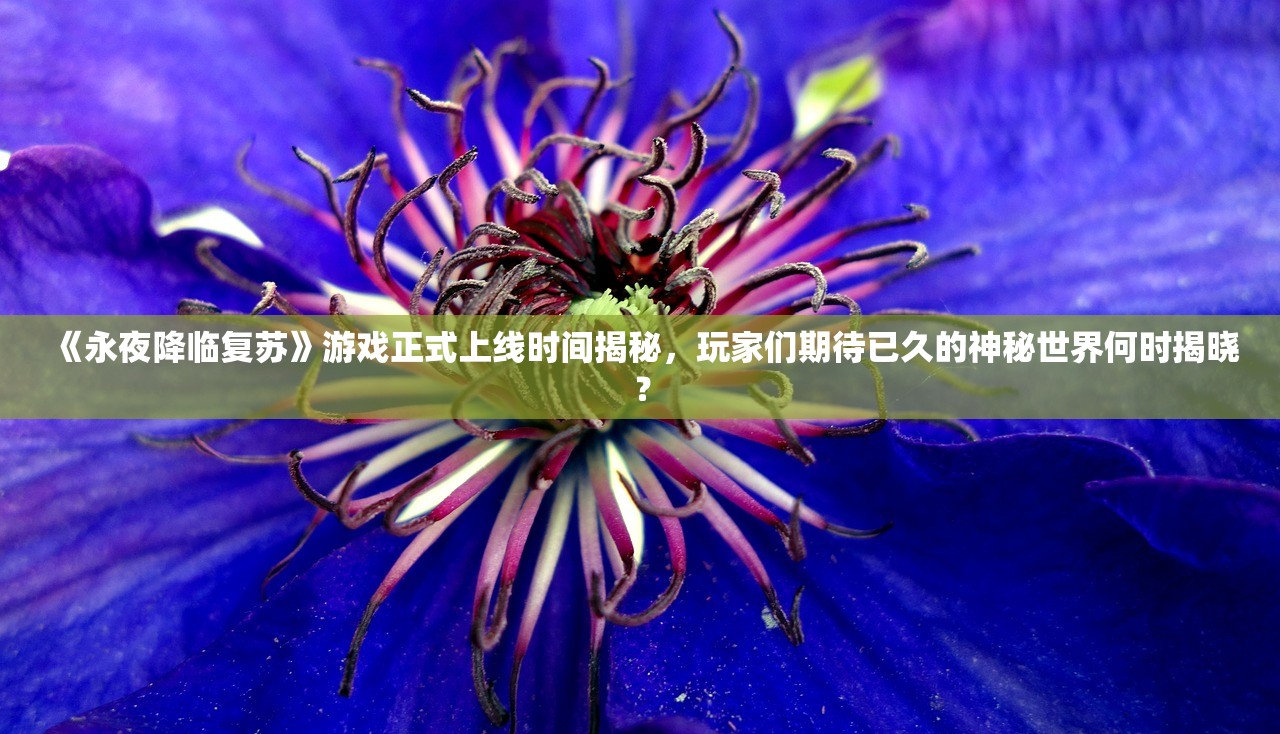 《永夜降临复苏》游戏正式上线时间揭秘，玩家们期待已久的神秘世界何时揭晓？